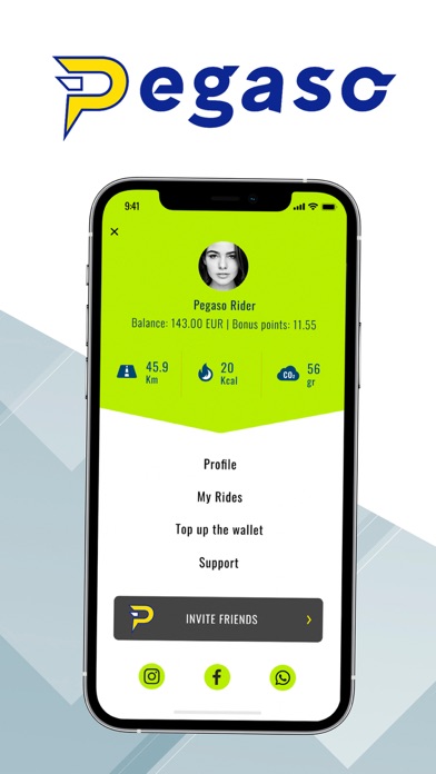 Pegaso Pro Screenshot