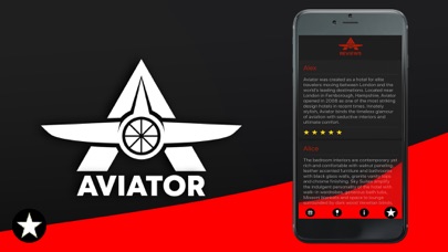 Aviator Group Screenshot