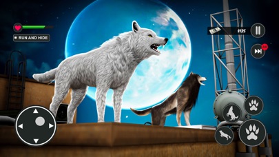 Wild Life Simulator Wolf Games Screenshot