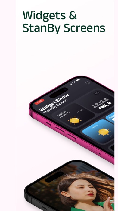 Widget Show Screenshot