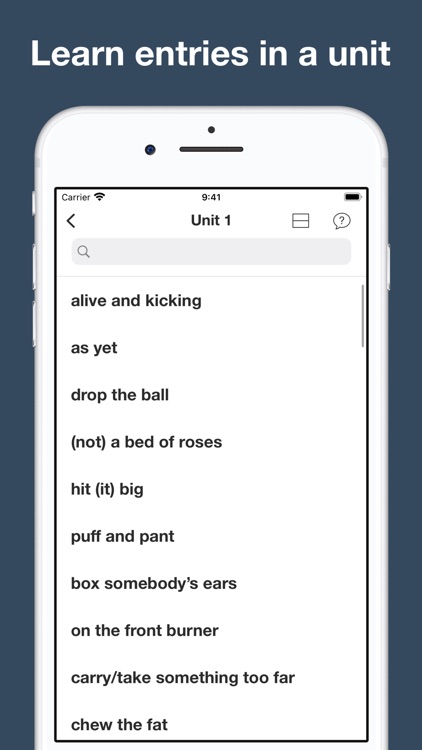 English Idioms & Slangs screenshot-7