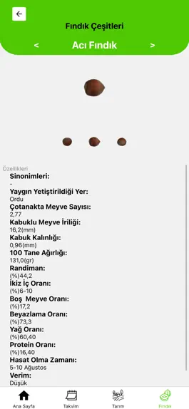 Game screenshot Fındık Uzmanı hack