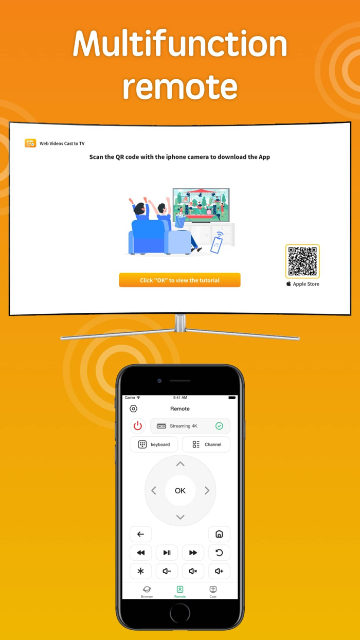 Screen Mirroring Web Cast TV