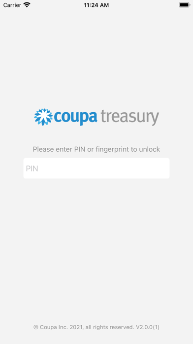 Coupa Treasury Screenshot