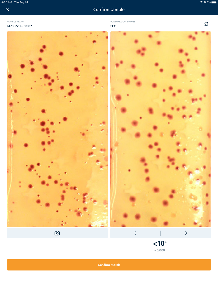 Dipslide Comparator 2