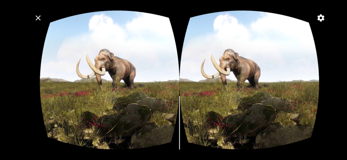 History of Life on Earth