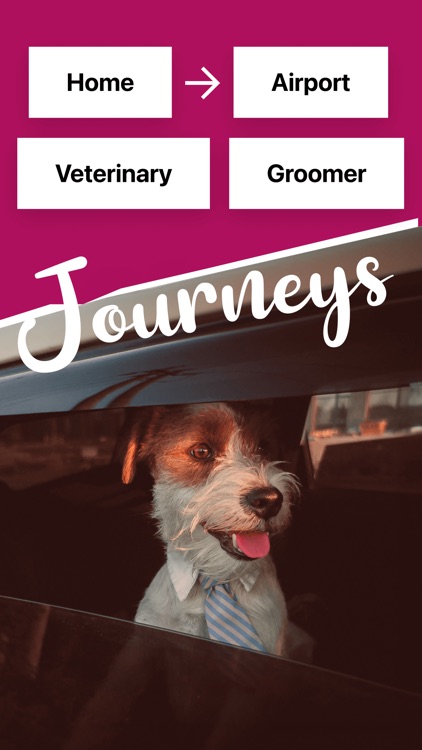 Pcab: Pet Taxi Geneva screenshot-4