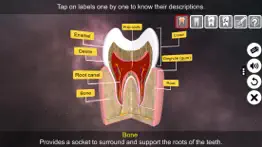 incredible human teeth iphone screenshot 3