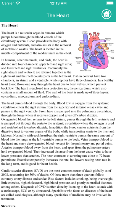 Anatomy : Circulatory Systemのおすすめ画像7