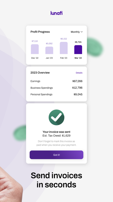 Lunafi - 1099 Tax Write-offs Screenshot