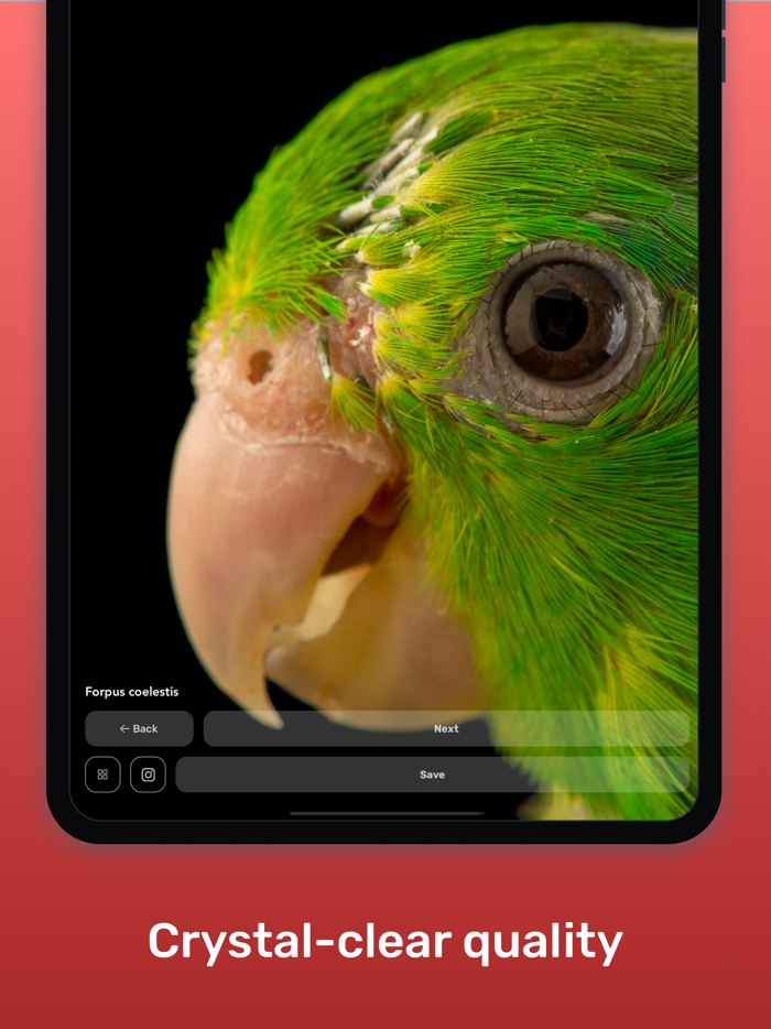 Last Photo - Wallpapers