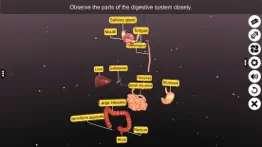 3d human digestive system iphone screenshot 4