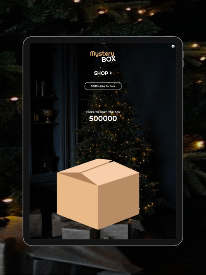 Christmas Mystery Box