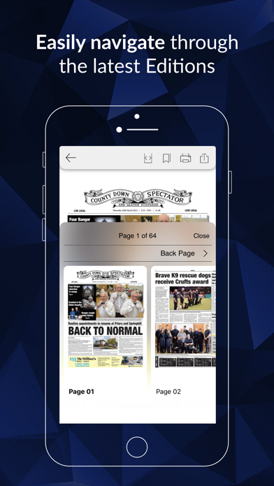 County Down Spectator Screenshot