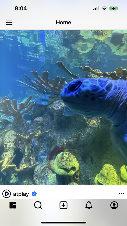 @Play (iOS) Av: Harrison Senesac