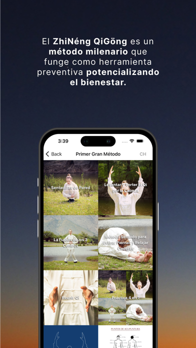 Consciencia ZhiNeng QiGong Screenshot
