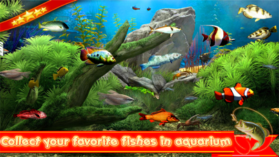Fishing Clash: 3D Sport Game Screenshot