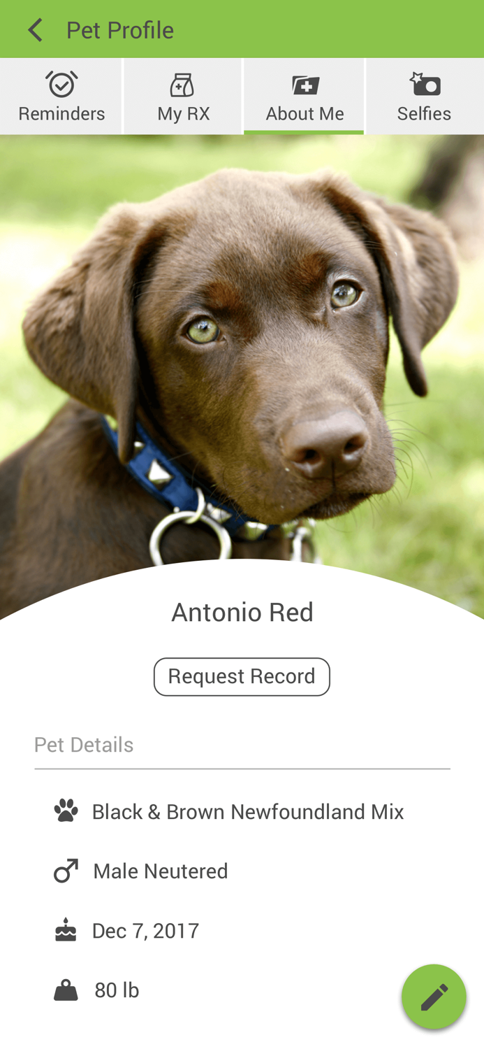 Southside Animal Clinic FL