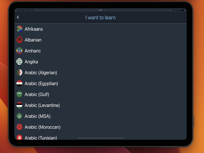 Bluebird Egyptian Arabic