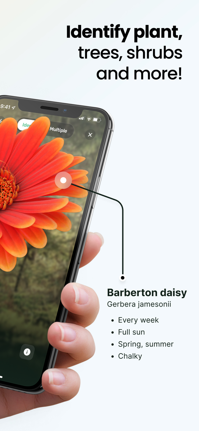 Plant App Plant Identifier