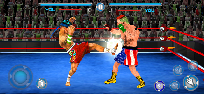 Wrestling Rumble Pro Fight 3D