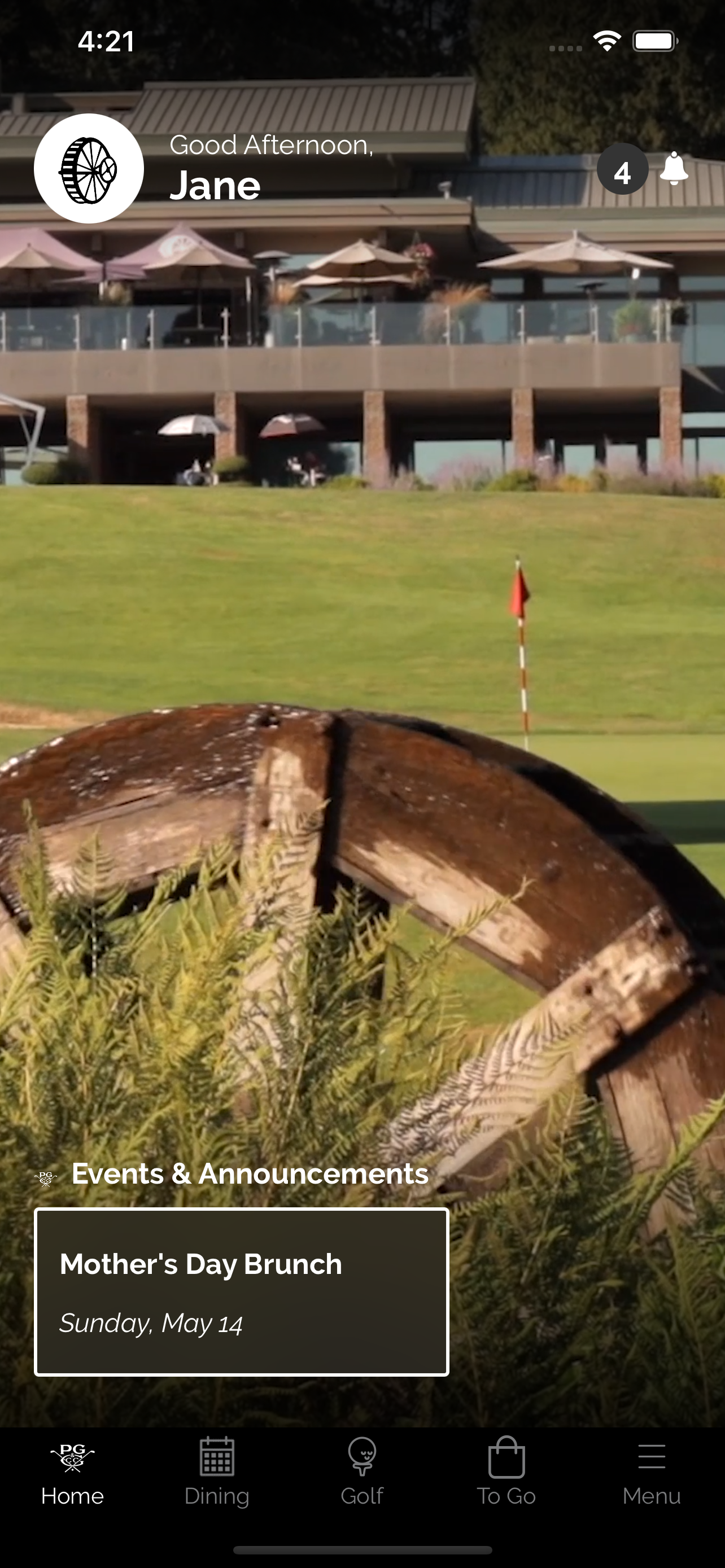 Point Grey GCC