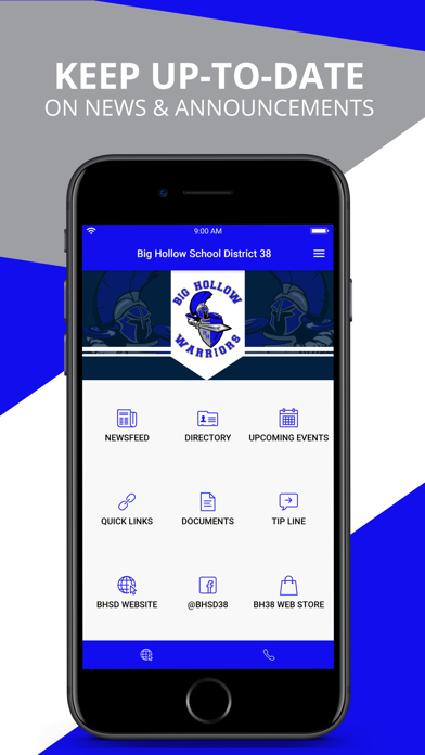 Big Hollow School District 38 Screenshot