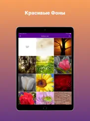 Коран Стих Дня app айпад изображения 3