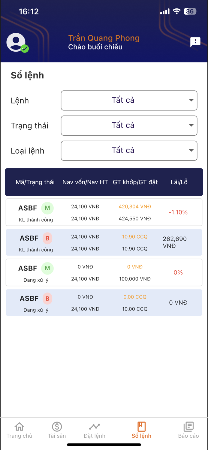 Afund - Amber Holdings