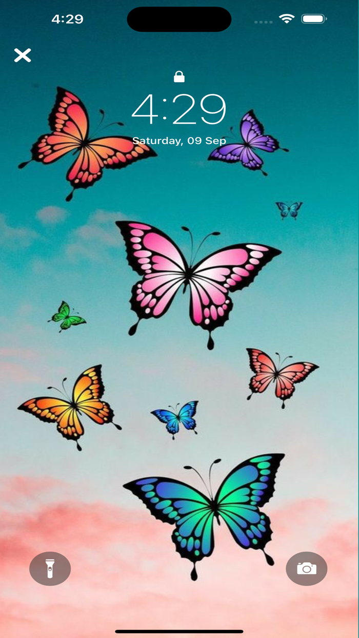 Butterfly Wallpapers Art