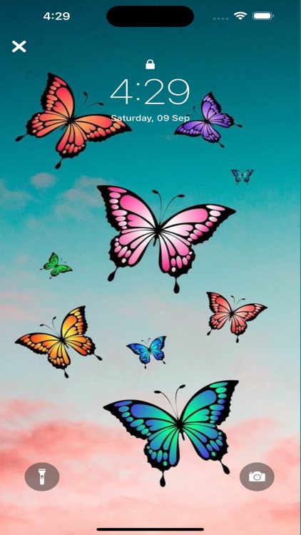 Butterfly Wallpapers Art