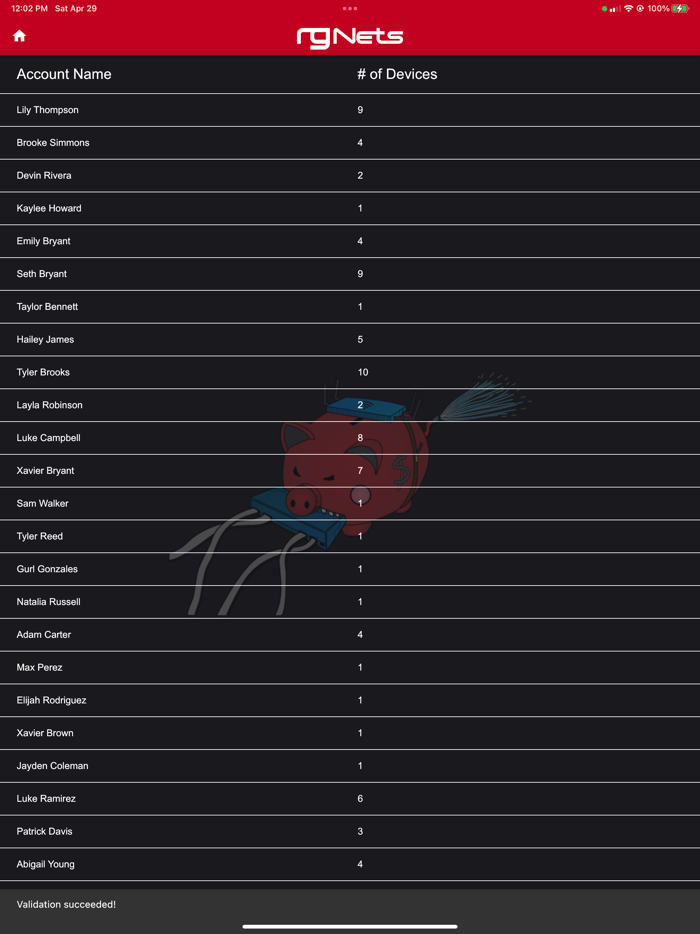 rXg Account Details Editor