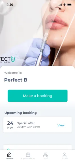 Game screenshot Perfect B mod apk