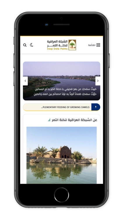 الشبكة العراقية لنخلة التمر