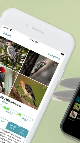 Game screenshot Learn Bird Watching—Larkwire apk