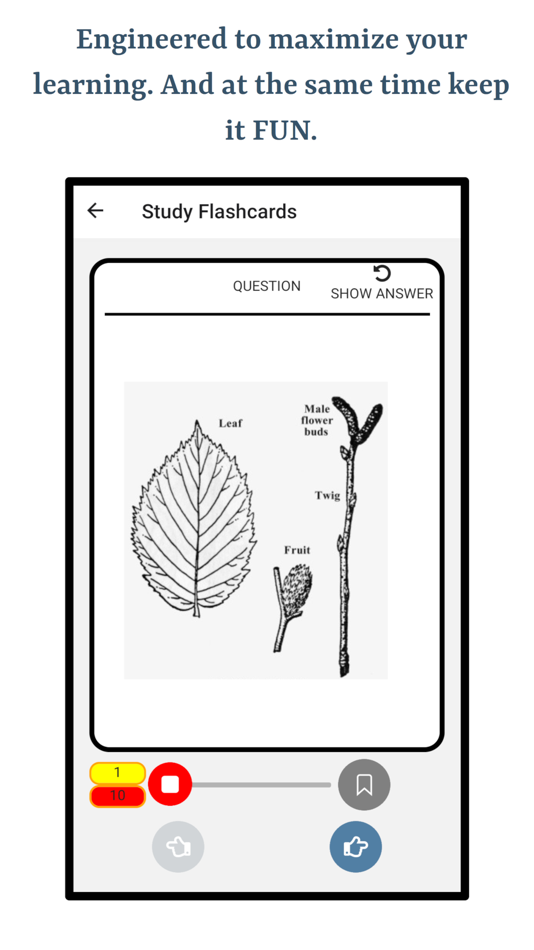 #4. Guess Trees From Leaves (iOS) Podle: Ghumman Tech LLC