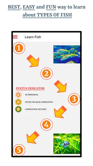 Types of Fish screenshot 1