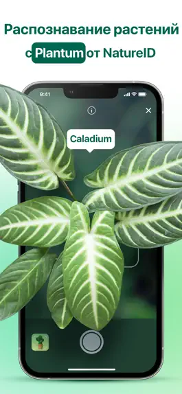 Game screenshot Plantum - Plants Care Guide mod apk