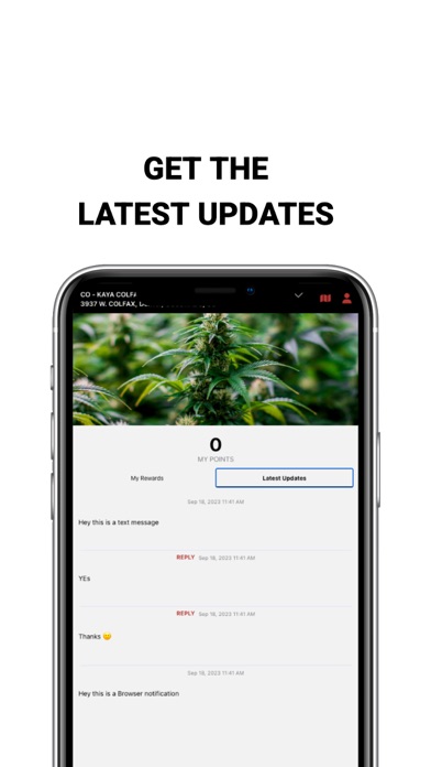 Kaya Cannabis Screenshot
