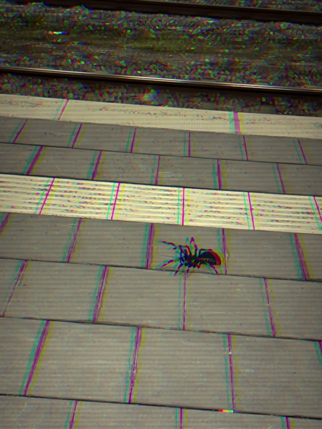 AR Spiders Screenshot