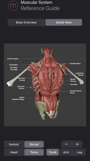 muscle study guide iphone screenshot 1