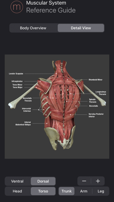 Screenshot #1 pour Muscle Study Guide