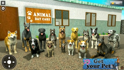 Animal Care Shelter Screenshot