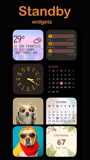 tiny widget countdown + iphone screenshot 1