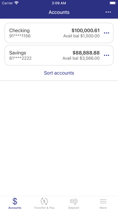 Pauls Valley National Bank Screenshot