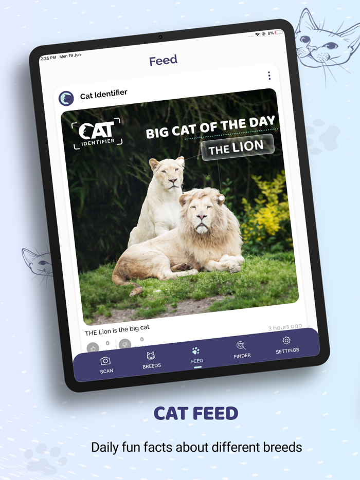 Cat Identifier AI Cat Scanner