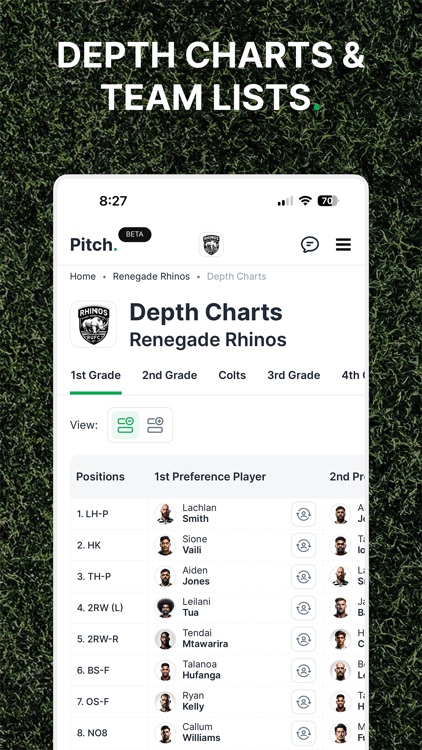 Pitch. screenshot-4