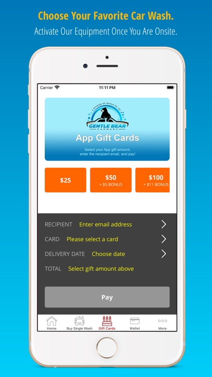 Gentle Bear Car Wash