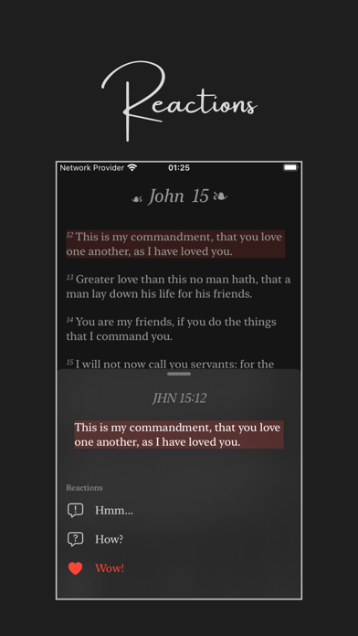 Pure Bible Screenshot