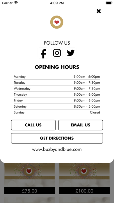 Buzby and Blue Salon Screenshot